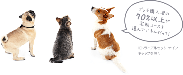 ブッチ購入者の70%以上が定期コースを選んでいるんでだって！　※トライアルセットを除く