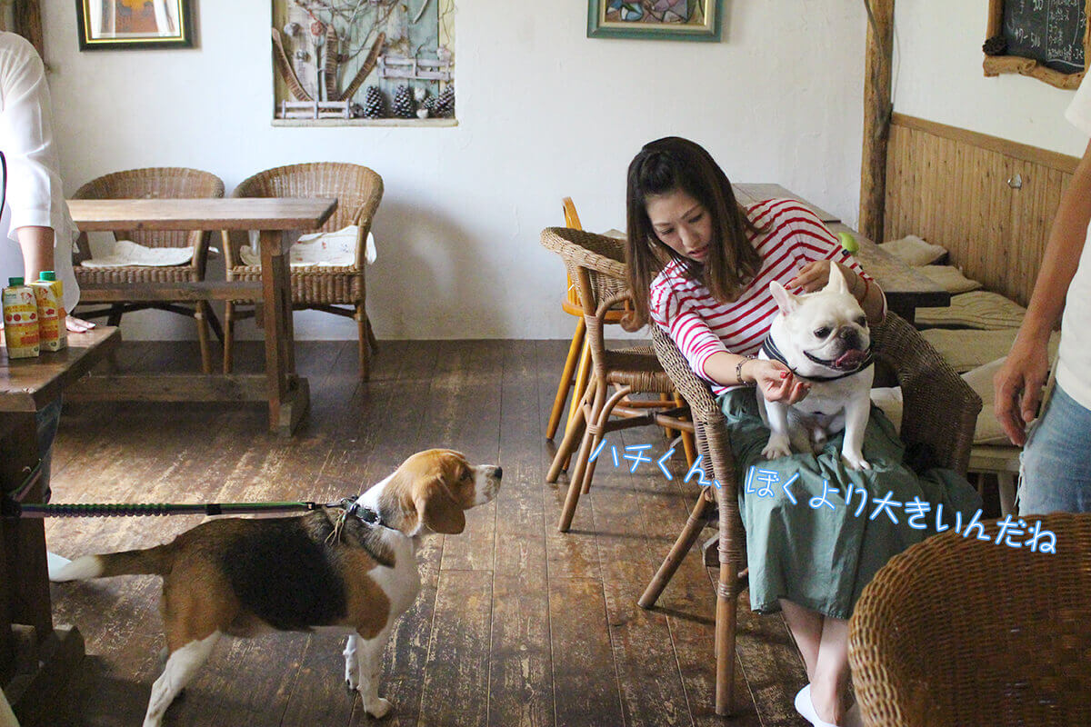 13_ambassador_meeting_2018