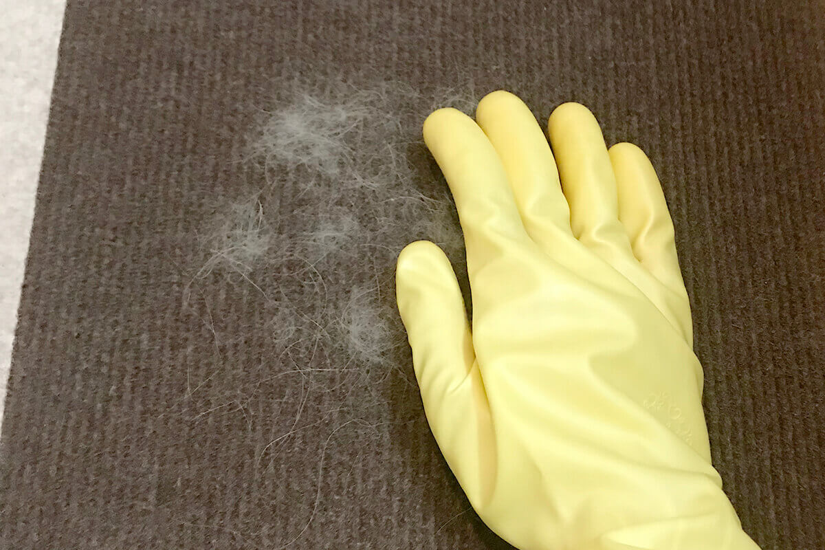 pecola_cleanup01_06_1