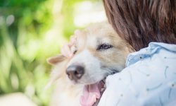 支援活動報告_pecola_210430