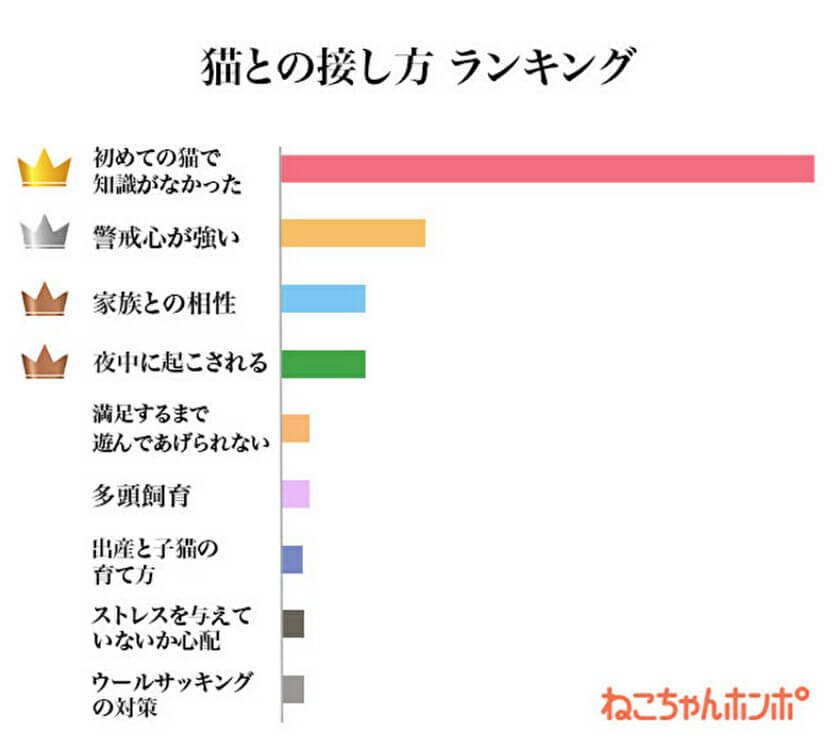 0qPpxIbCPemiOYl1621997982_1621997986