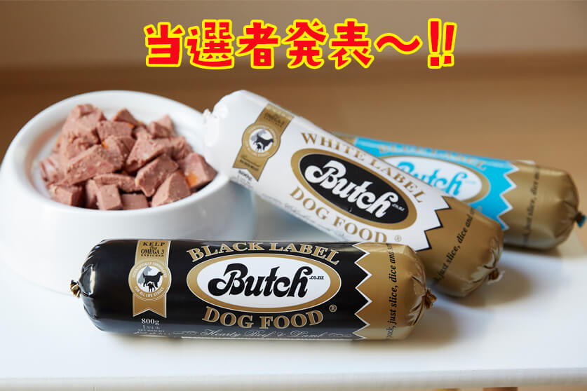 pecola_1万人突破CP