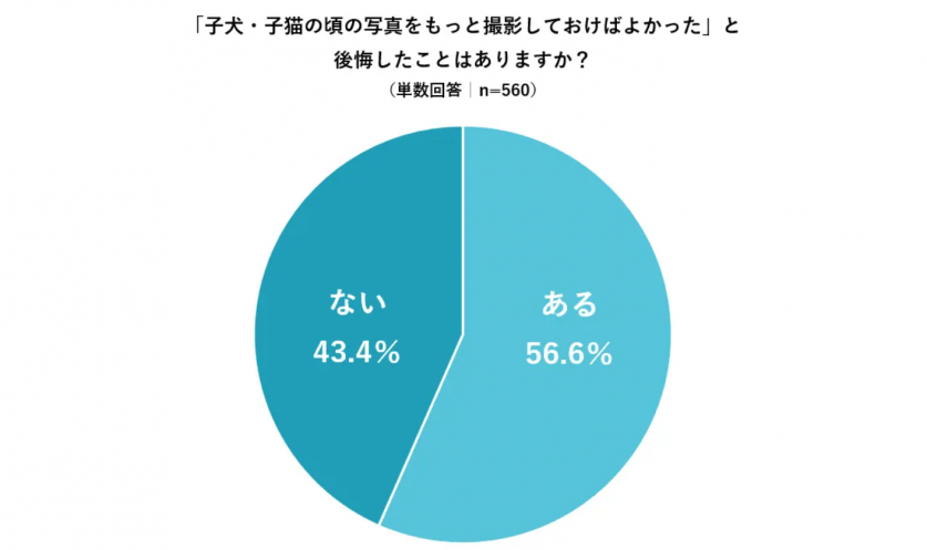 スクリーンショット 2022-07-20 123451