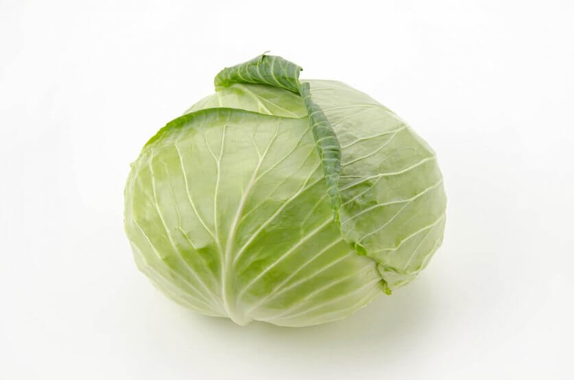 26742850_m-e1700898047452