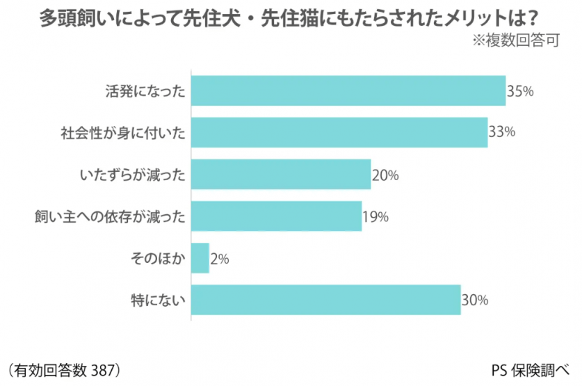 スクリーンショット 2024-05-16 215559