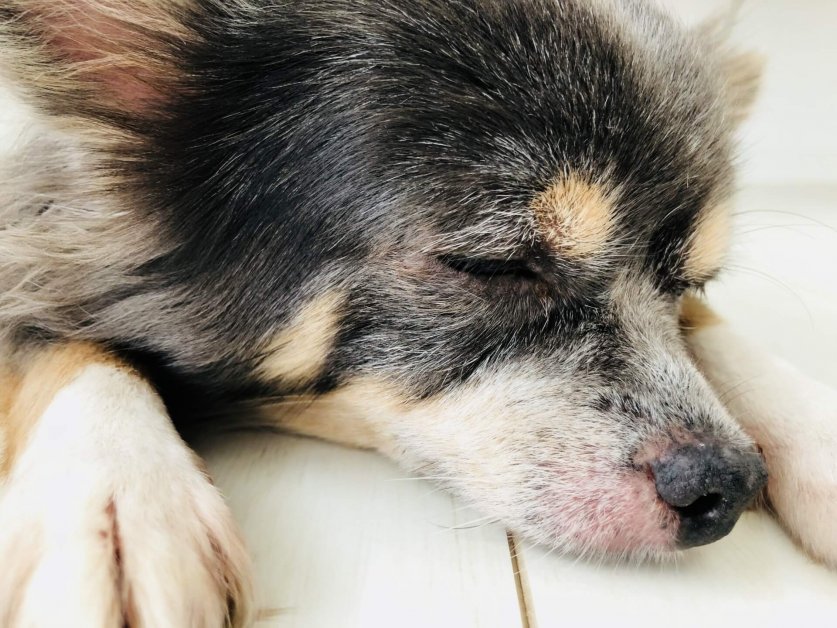 症状別の病気02