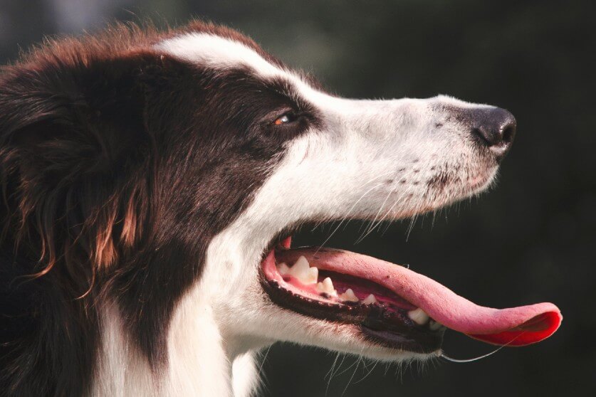 症状別の病気09