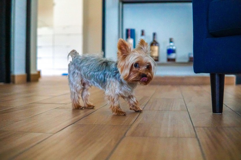 jorge-gardner-Z24biOgfZcY-unsplash (1)