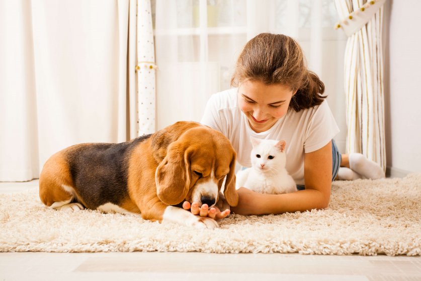 the dog is licking hand. the girl is lying on the carpet and patting the whita cat