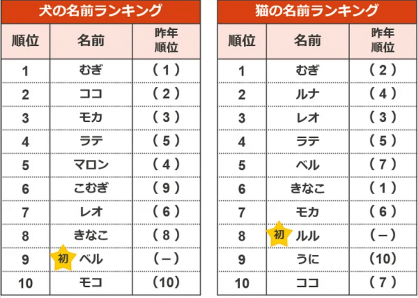 スクリーンショット 2024-07-29 12.09.53