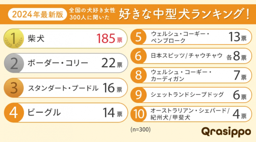 スクリーンショット 2024-11-14 18.55.25